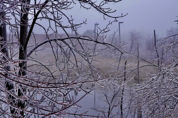 Obraz premium Freezing rain
