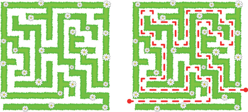 Green square hedge maze vector Illustration. Top view of the open air rectangular labyrinth made of garden bushes and grass. Education logic game for kids, preschool and school pupils. 