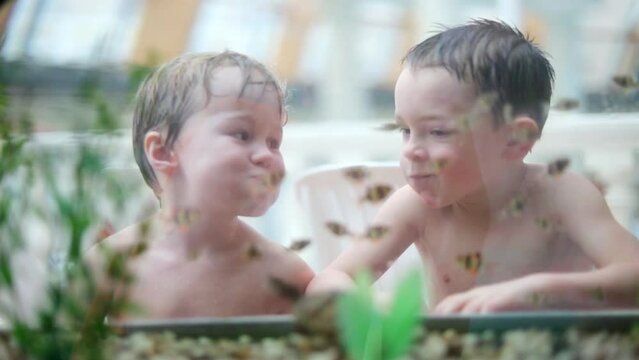 Two boys puffed out cheeks and depict swimming next to the aquarium