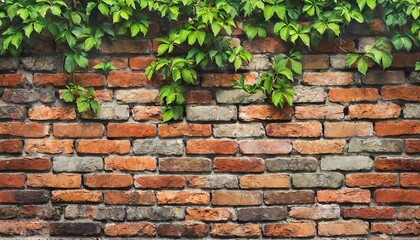 Old brickwall pattern with leaves, stone wall with green leaves