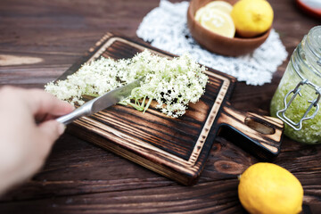 Cutting elderberry inflorescences to prepare phytomedicine preparations from medicinal plants, or a refreshing summer drink with lemon.