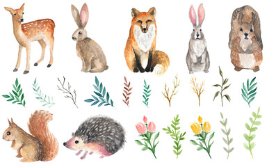 set of animals watercolor illustration on transparent background