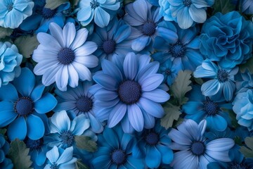 Collage of Monochromatic blue flowers, top view