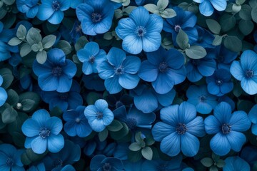 Collage of Monochromatic blue flowers, top view