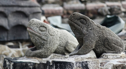 Frogs and snake head sculptures in Aztec temple (Templo Mayor) at Tenochtitlan ruins - Mexico City,...