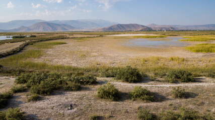 Marshes and Reeds wetland from top view aerial drone photo shoot. This is Sultan Sazligi national park in Develi Valley Kayseri Turkey. Beautiful pastoral landscape
