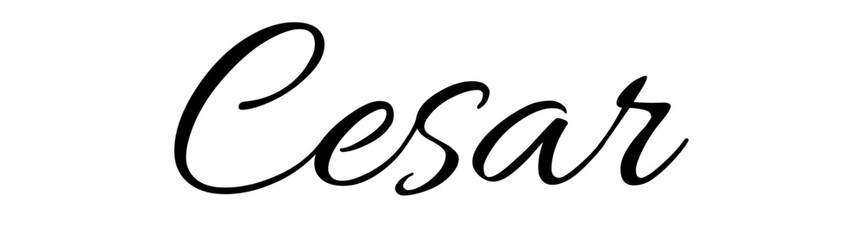 Cesar  - black color - name - ideal for websites, emails, presentations, greetings, banners, cards, books, t-shirt, sweatshirt, prints, cricut, silhouette,	
 - obrazy, fototapety, plakaty