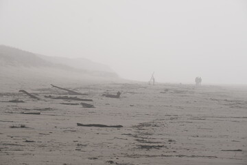 A dirty beach after a storm in winter. Cap Ferret, France - January 23, 2024.