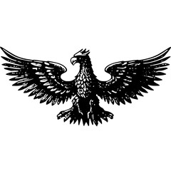 Eagle Or Bird Of Prey 