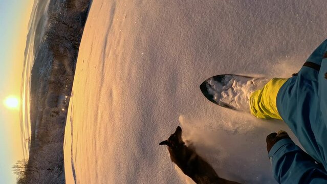 VERTICAL POV: Unrecognizable snowboarder riding powder, carving down the slope with his dog on a sunny morning. Unknown man in ski equipment freeride snowboarding fresh powder snow along with his dog