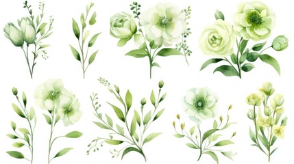 Fototapeta na wymiar a set of watercolor flowers and leaves on a white background stock photo - budget - free stock photo - budget - free stock photos - free stock.