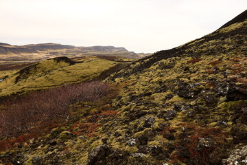 The crater of Grábrók, Grabrokargigar, is a protected natural area since 1962