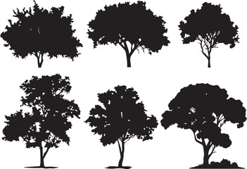 Set Trees. Hand drawn vector illustration