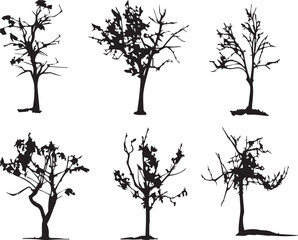 Set Trees. Hand drawn vector illustration