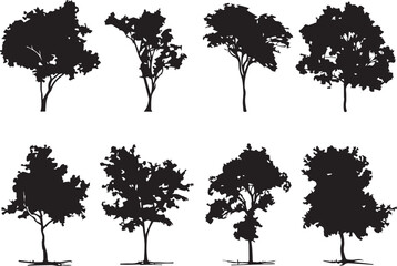Set Trees. Hand drawn vector illustration