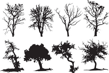 Obraz premium Set Trees. Hand drawn vector illustration