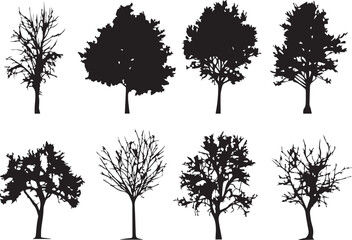Set Trees. Hand drawn vector illustration