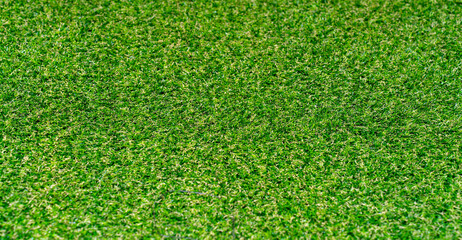 Top view of bright green grass background on artificial carpet in garden lawn or house yard...