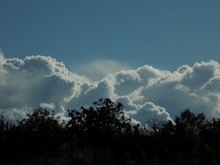 clouds in the sky, clouds in the sky with trees, shining light clouds in the blue sky look like a snow avalanche