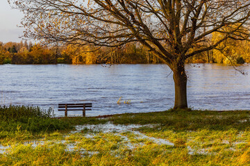 Flooding with park bench on the Rhine after precipitation and rain