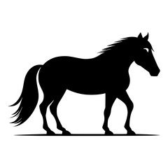 horse silhouette isolated on white