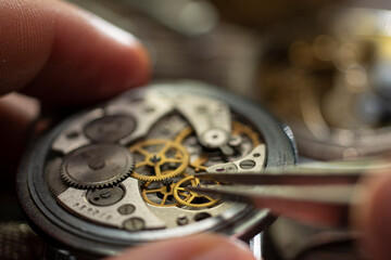 Mechanical watch adjustment, watchmaker workshop