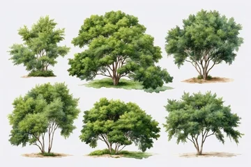  oil painted green trees and bushes isolated on white background, forest collection, summer foliage © Jan