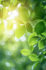 Beautiful nature view of green leaf on blurred greenery background in garden and sunlight. AI generative