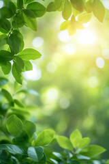 Fototapeta na wymiar Beautiful nature view of green leaf on blurred greenery background in garden and sunlight. AI generative