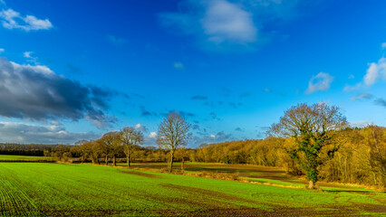 landscape with sky and grass, Cold Hiendley