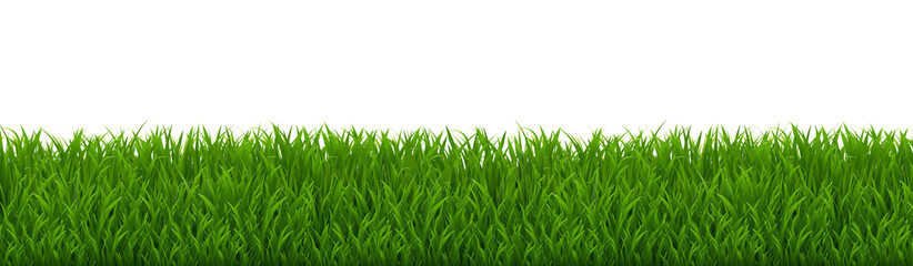 Obraz premium Green Grass Border And Isolated White Background