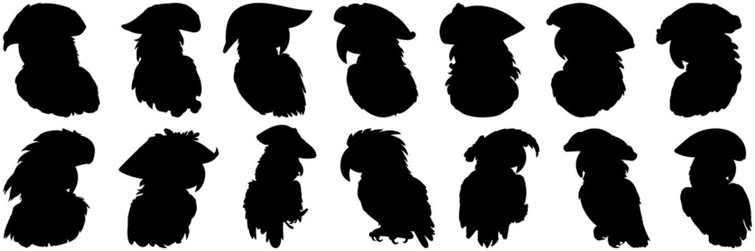 Pirate parrot silhouettes set, large pack of vector silhouette design, isolated white background.