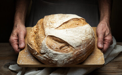 Male hands show a cutting board with a loaf of Enkir flour bread, a ancient spelled flour. - 718365031
