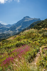Trekking route from Bezbog hut to Popovo lake against Dzhengal peak, a mount in northern Pirin highlands. Summer in bulgarian mountains.