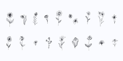 Set of sketch vector black ink hand drawn continuous line meadow daisy flowers and herbs. Cute doodle floral elements for pattern and tattoo design, greeting card, logo
