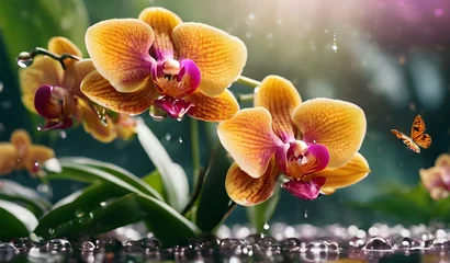 Poster bright tropical orchid flowers in raindrops  © Oleksii