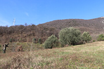 hiking in the mountains