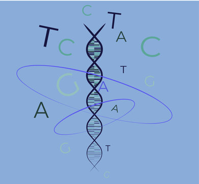 ADN con sus elementos