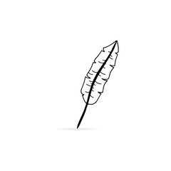 feather icon. Pen hand draw vector illustration