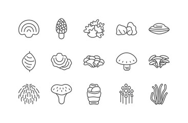 Medicinal mushroom line icon set. Different types of mushroom vector illustration
