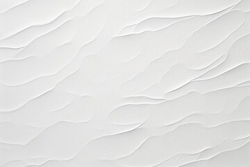 Obraz premium White Paper Texture Blank Backgrounds, Minimalist and Monochromatic in Light Gray