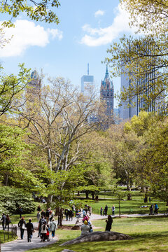 Central Park in springtime, New York city, USA