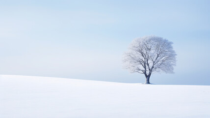 Fototapeta na wymiar Solitary tree in a vast, snow-covered landscape during the early morning, conveying a tranquil and contemplative emotion, blue-grey tone for a modern, minimalist look