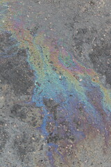 paint on the pavement