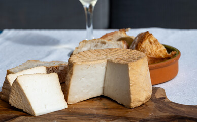 Cheese collection, piece of fresh smoked Spanish goat cheese close up
