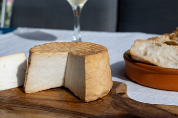 Cheese collection, piece of fresh smoked Spanish goat cheese close up