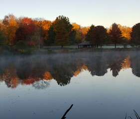 autumn trees reflected in water
