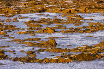 Frozen water in a field in winter