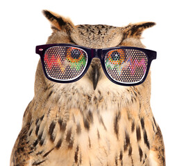Night owl with rave glasses on a transparent background