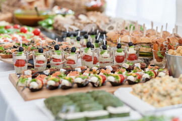 Wedding Table With Food. Snacks and Appetizer on the Table. Fish and Raw Meat with Vegetables. Mini...